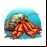Hermit Crab