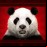 Panda (wild)