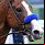 Justify